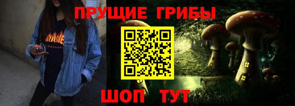 Псилоцибиновые грибы ЛСД Майкоп